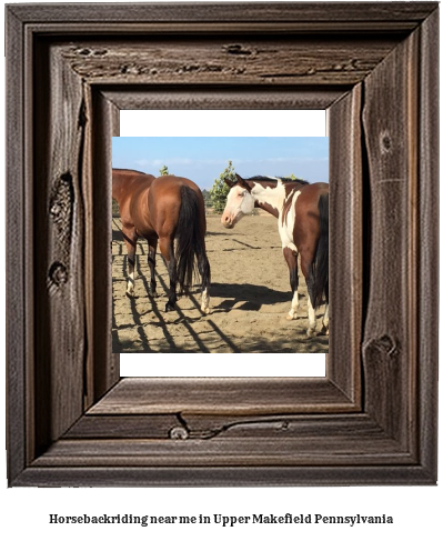 horseback riding near me in Upper Makefield, Pennsylvania